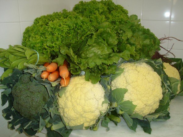 Folhagens em Geral (Verduras)