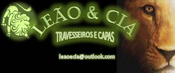 Leão & Cia Travesseiros e Capas impermeáveis