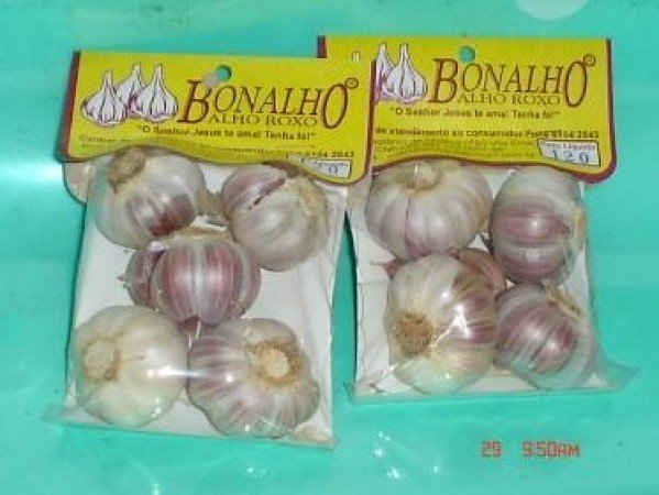 Yoshi Alimentos